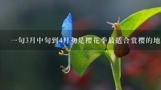 一句3月中旬到4月初是樱花季最适合赏樱的地方是哪里