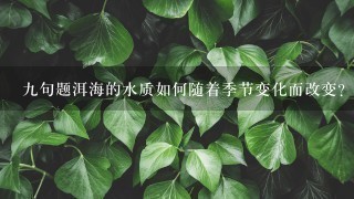 九句题洱海的水质如何随着季节变化而改变