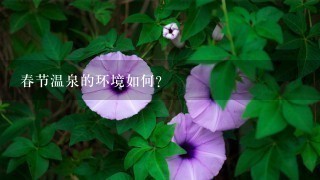 春节温泉的环境如何?