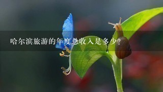 哈尔滨旅游的年度总收入是多少?