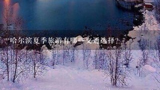 哈尔滨夏季旅游有哪些交通选择?