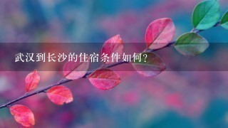 武汉到长沙的住宿条件如何?