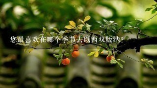 您最喜欢在哪个季节去以西双版纳?