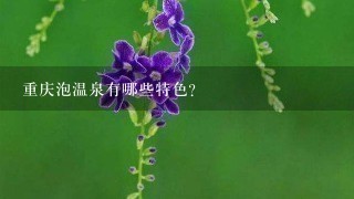 重庆泡温泉有哪些特色?