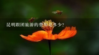 昆明跟团旅游的费用是多少?