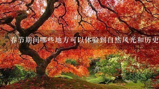 春节期间哪些地方可以体验到自然风光和历史文化氛围的结合?